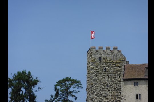 Panasonic Lumix DMC-TZ56 : 20x Zoom auf die Schweizerfahne auf dem Schloss